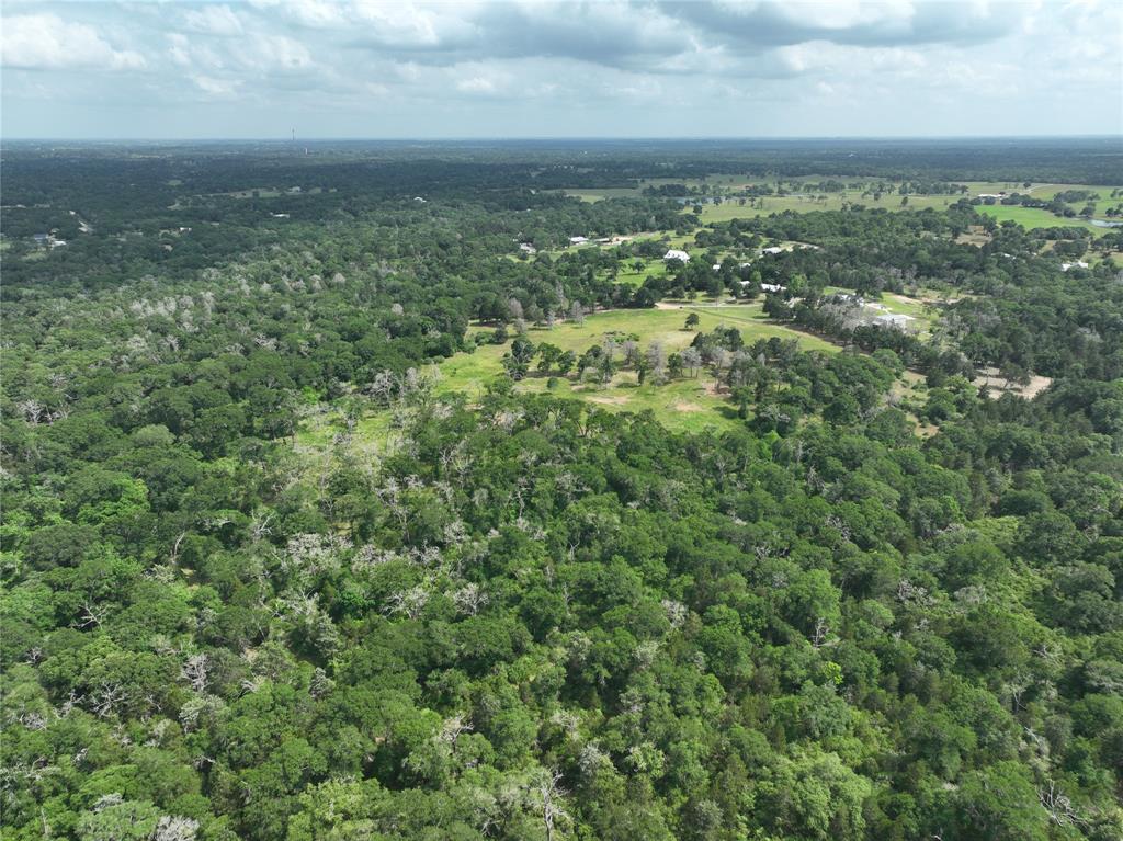 17718 Tranquil Lane, Cat Spring, Texas image 19