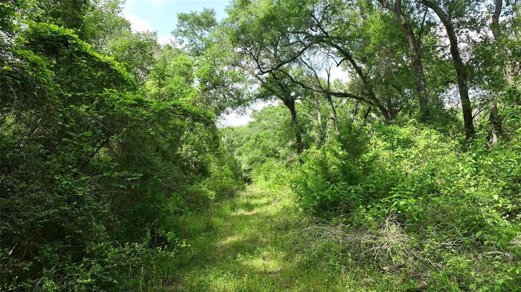 17718 Tranquil Lane, Cat Spring, Texas image 10