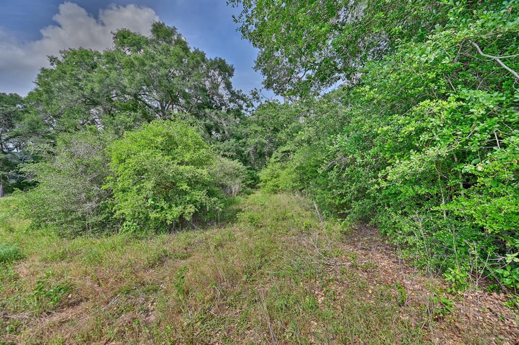 17718 Tranquil Lane, Cat Spring, Texas image 14