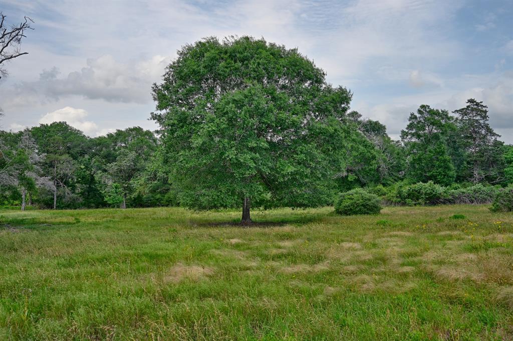 17718 Tranquil Lane, Cat Spring, Texas image 2