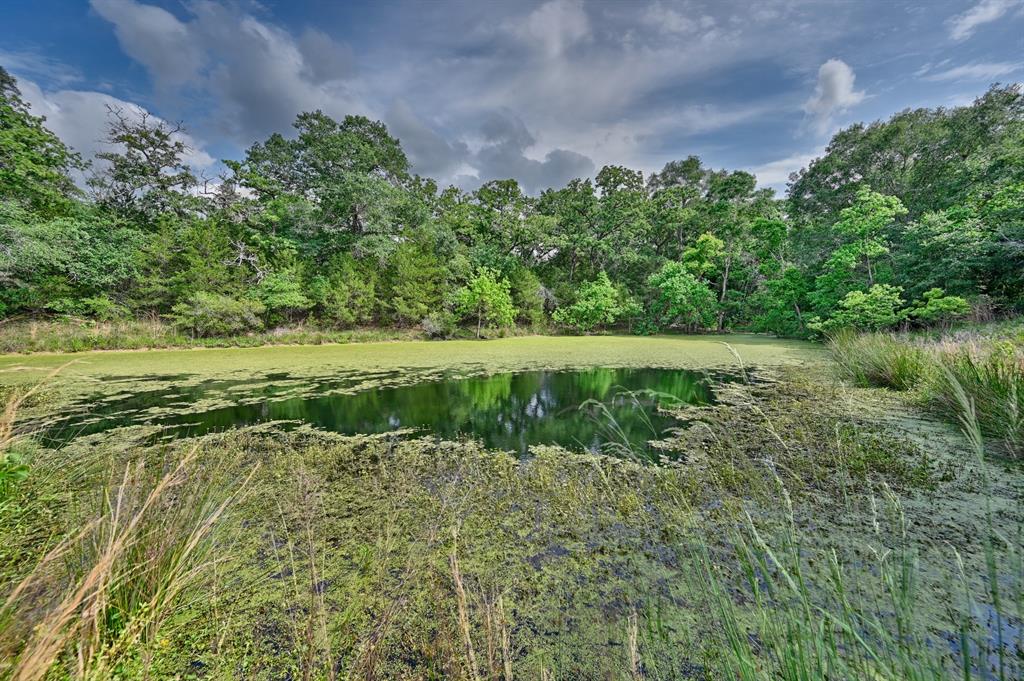 17718 Tranquil Lane, Cat Spring, Texas image 3