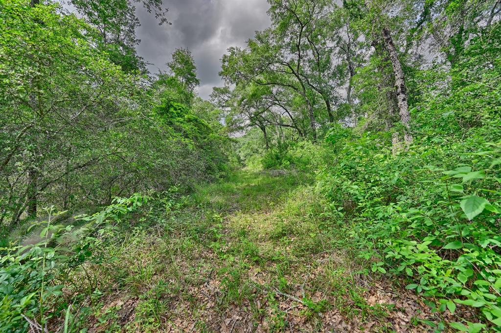 17718 Tranquil Lane, Cat Spring, Texas image 13