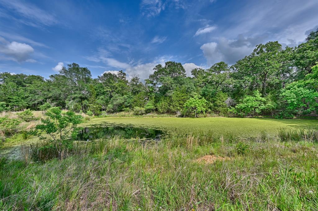 17718 Tranquil Lane, Cat Spring, Texas image 12