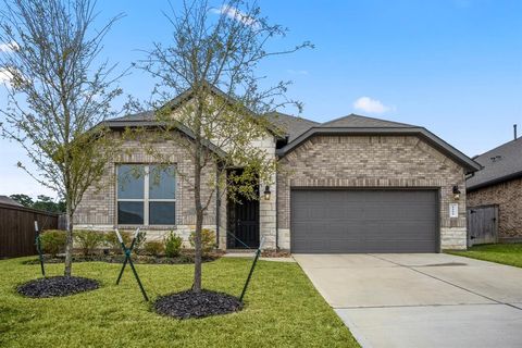 1141 Purple Orchid Street, Montgomery, TX 77316 - #: 65745210