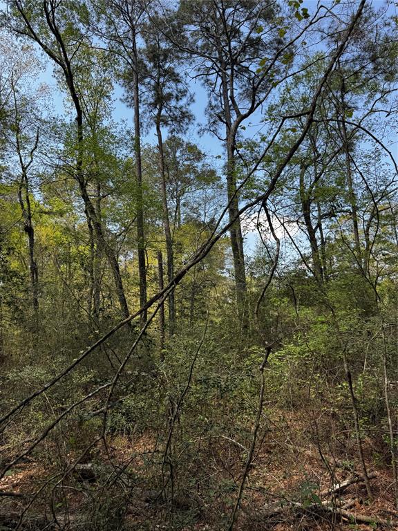Lot 10 Lantern Lane, Conroe, Texas image 10