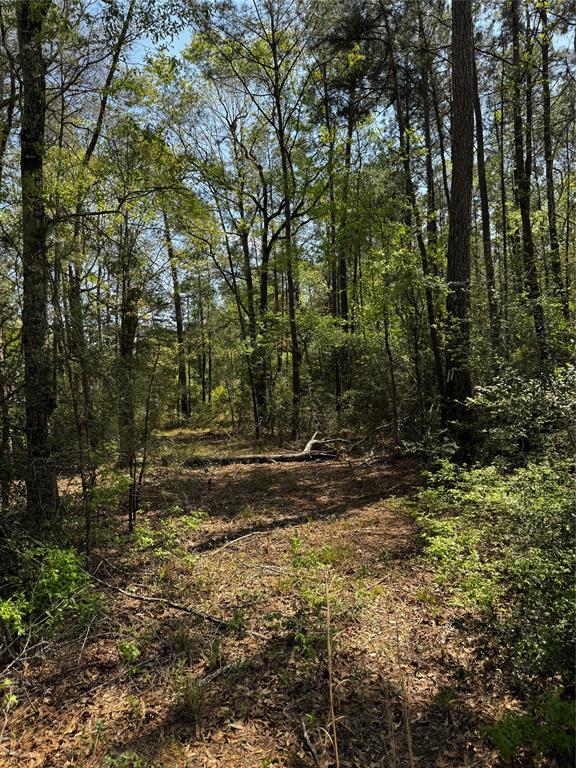 Lot 10 Lantern Lane, Conroe, Texas image 8