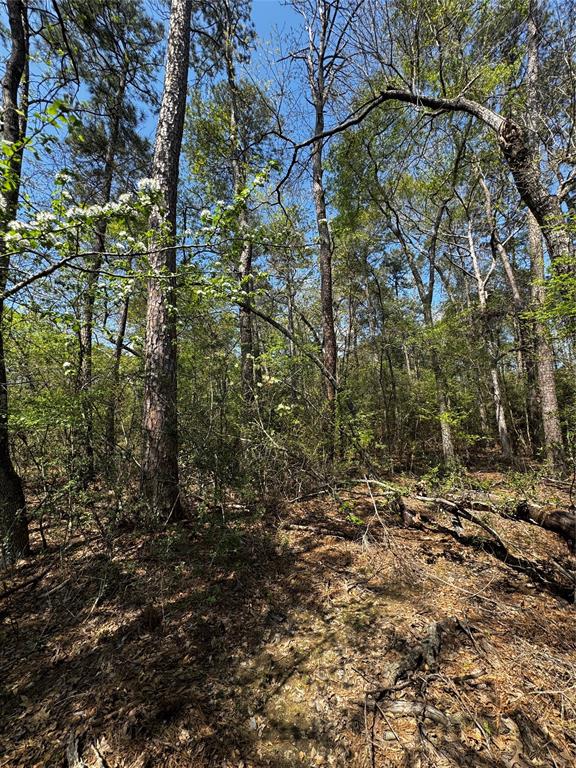 Lot 10 Lantern Lane, Conroe, Texas image 11