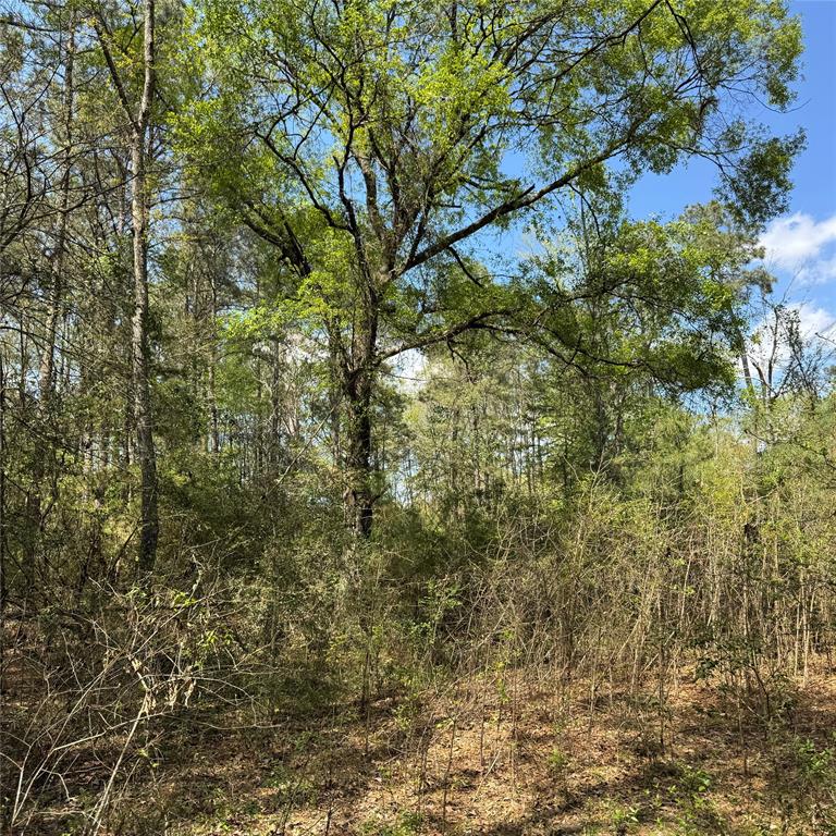 Lot 10 Lantern Lane, Conroe, Texas image 9