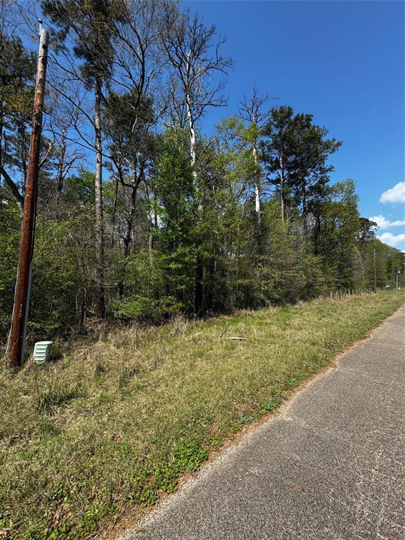 Lot 10 Lantern Lane, Conroe, Texas image 5