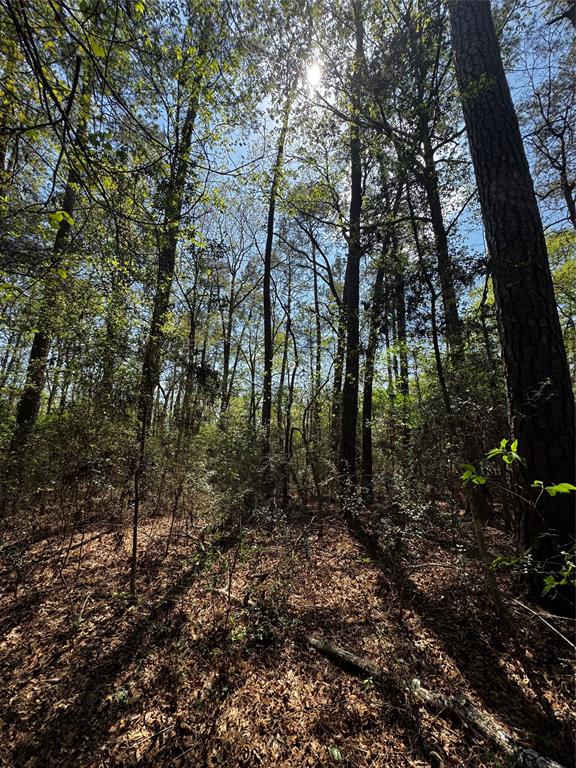 Lot 10 Lantern Lane, Conroe, Texas image 1
