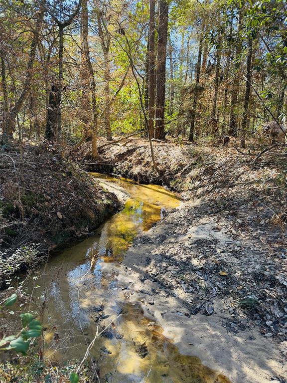 3060 Hubert Cemetery Road, Livingston, Texas image 36