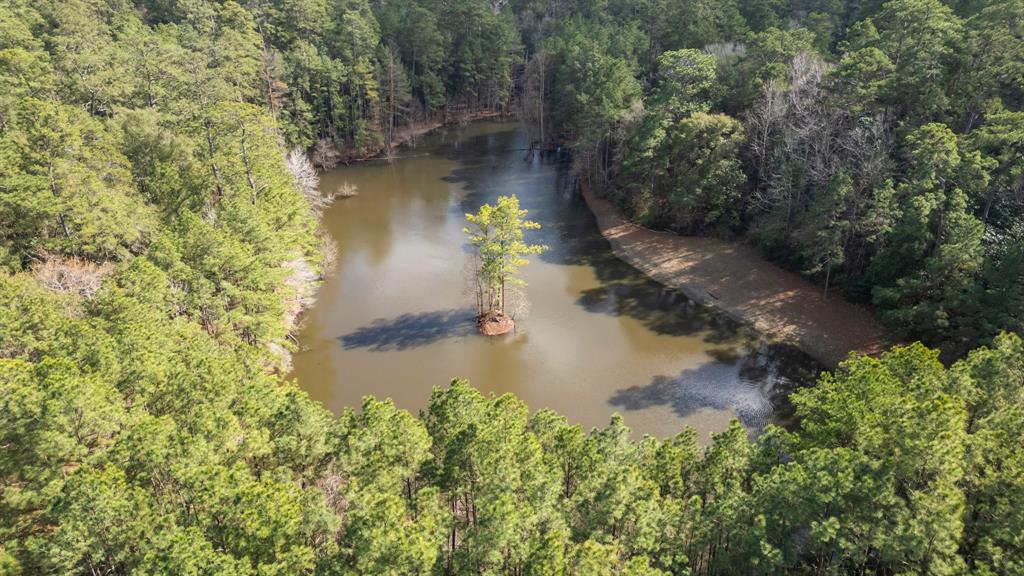 3060 Hubert Cemetery Road, Livingston, Texas image 32