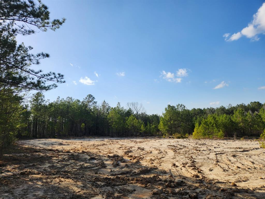 1039 Counts Road, Point Blank, Texas image 4