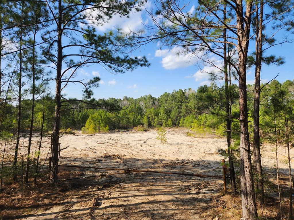 1039 Counts Road, Point Blank, Texas image 3