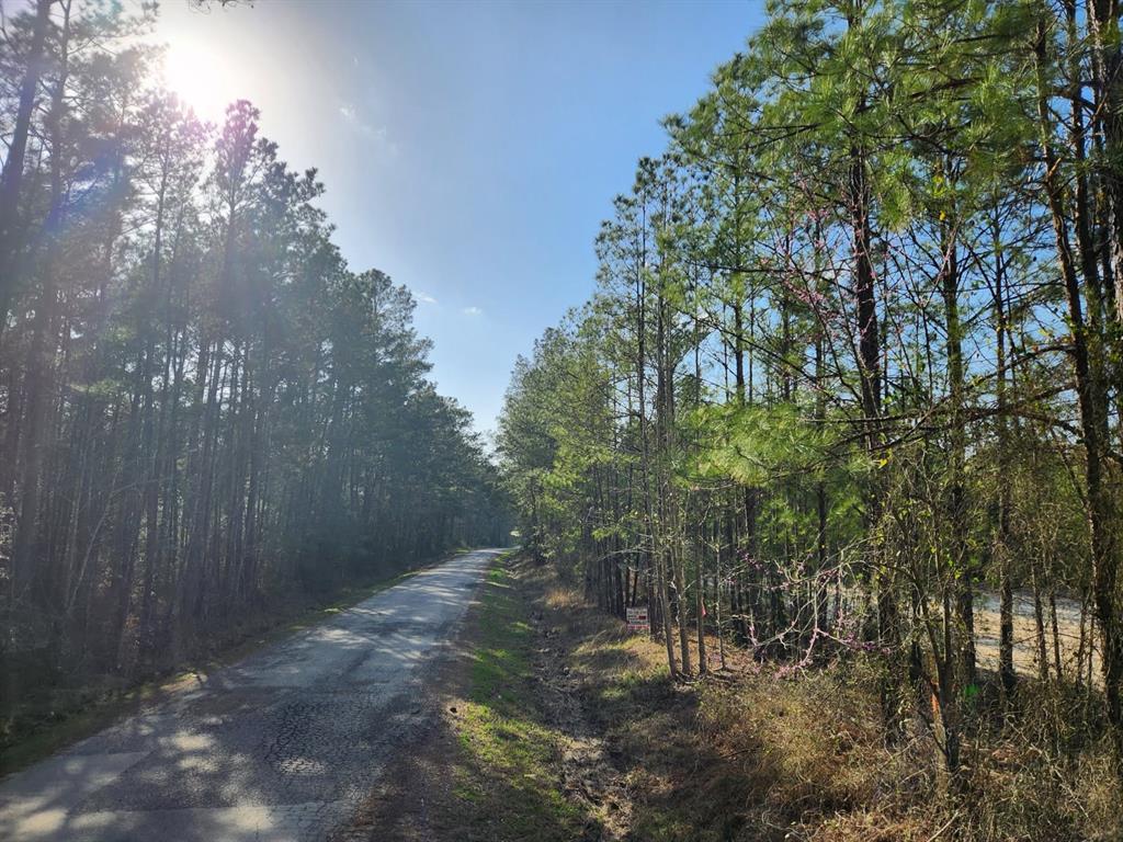 1039 Counts Road, Point Blank, Texas image 1