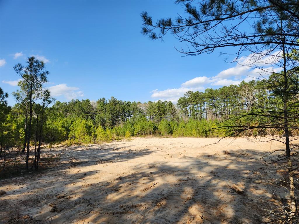 1039 Counts Road, Point Blank, Texas image 8