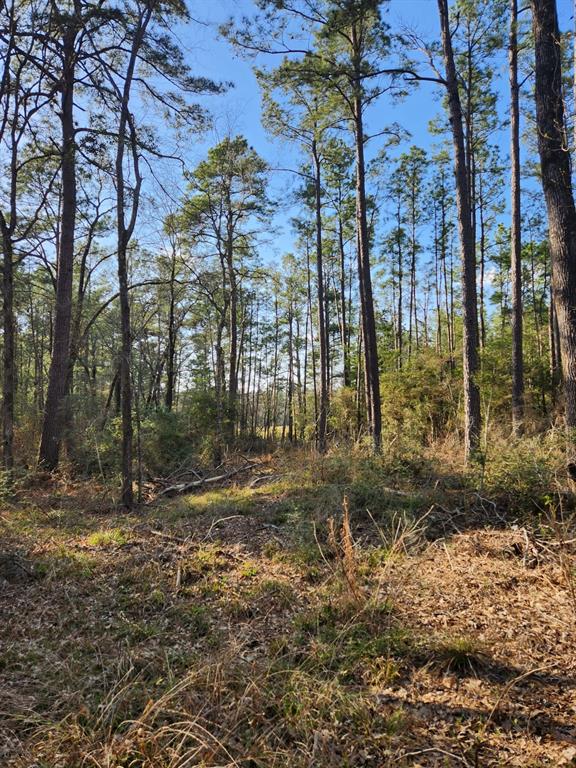 1039 Counts Road, Point Blank, Texas image 7
