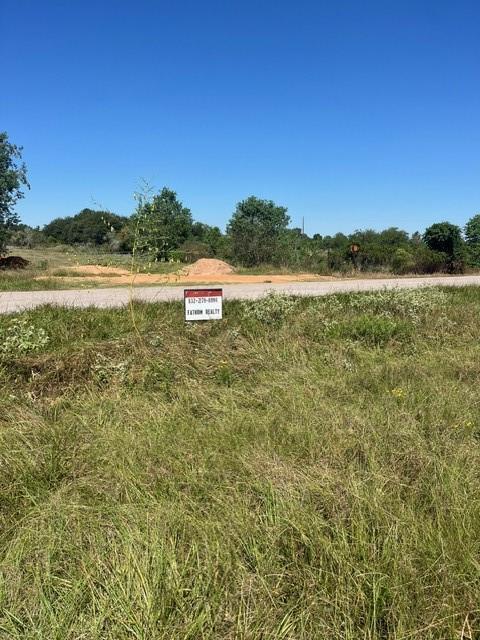 1182 Grubbs Tract 1 Road, Sealy, Texas image 5