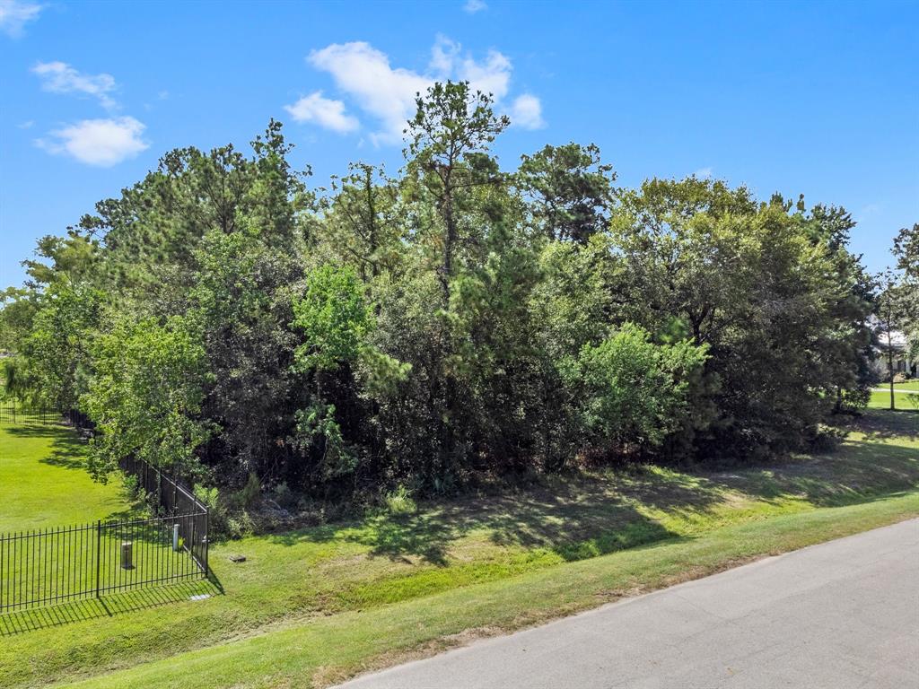 27410 E Benders Landing Boulevard, Spring, Texas image 4