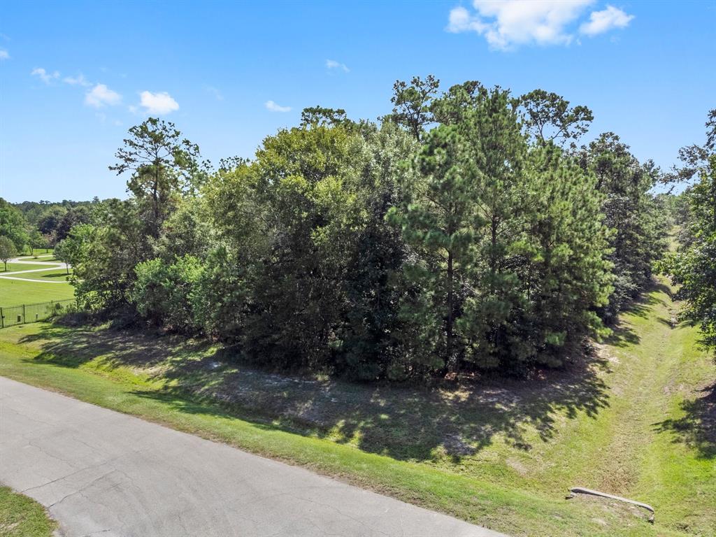 27410 E Benders Landing Boulevard, Spring, Texas image 3