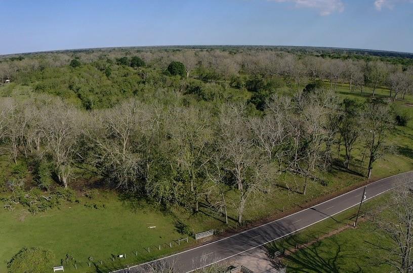 00 County Road 42, Brazoria, Texas image 9