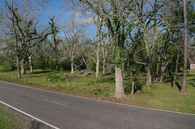 00 County Road 42, Brazoria, Texas image 12