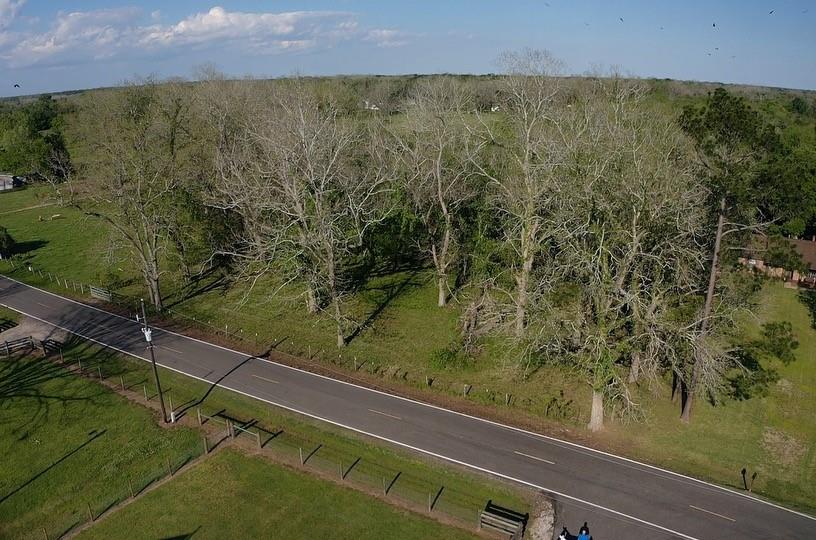 00 County Road 42, Brazoria, Texas image 8