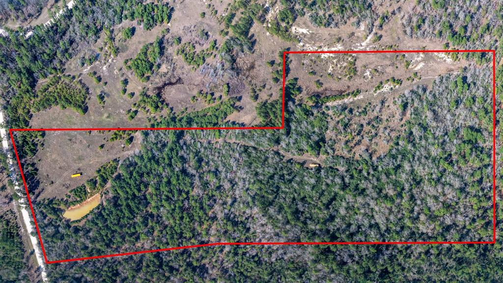TBD Rosenwall Road, Huntsville, Texas image 1