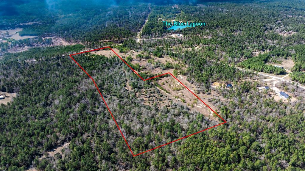 TBD Rosenwall Road, Huntsville, Texas image 3