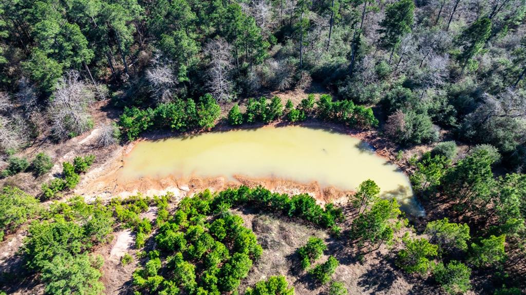 TBD Rosenwall Road, Huntsville, Texas image 5