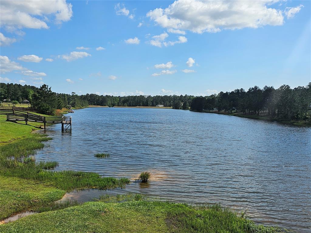 2024 White Buck Court, Cleveland, Texas image 8