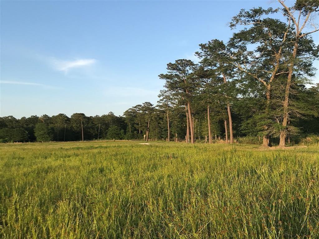 0.00 County Road 2167 A, Cleveland, Texas image 6