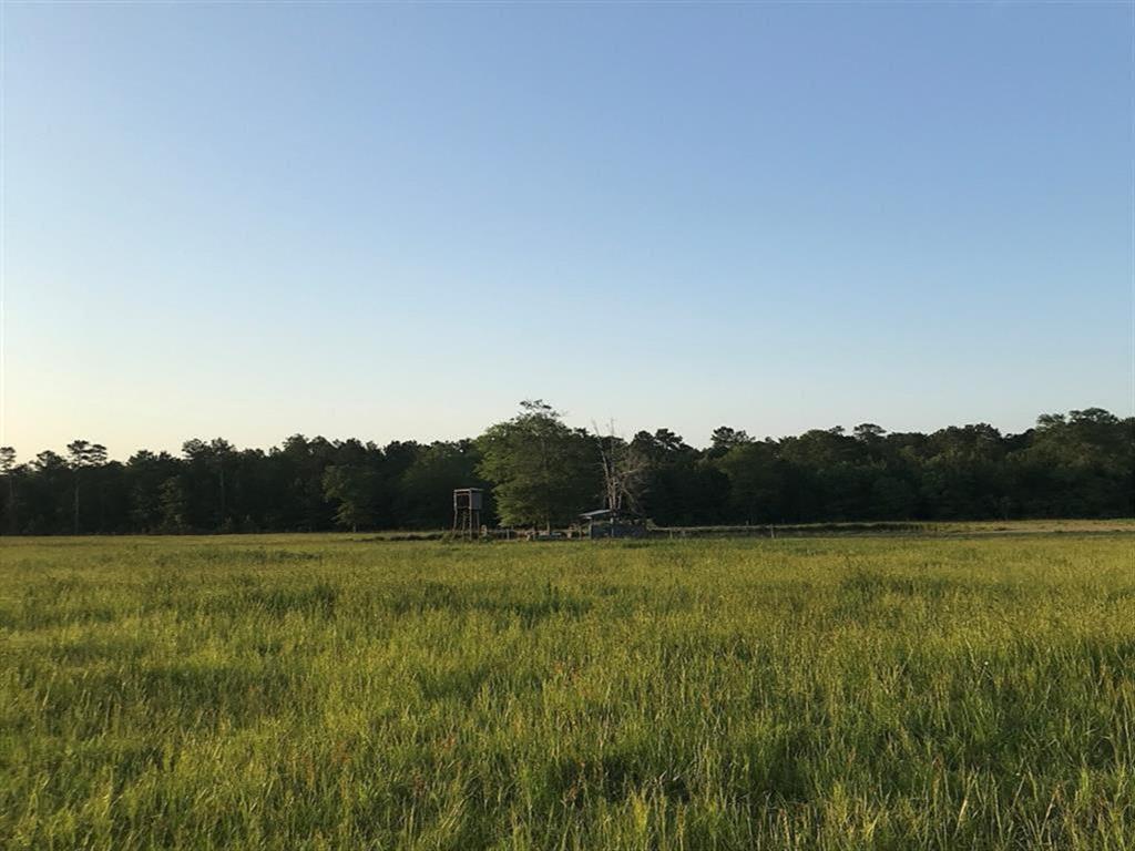 0.00 County Road 2167 A, Cleveland, Texas image 7