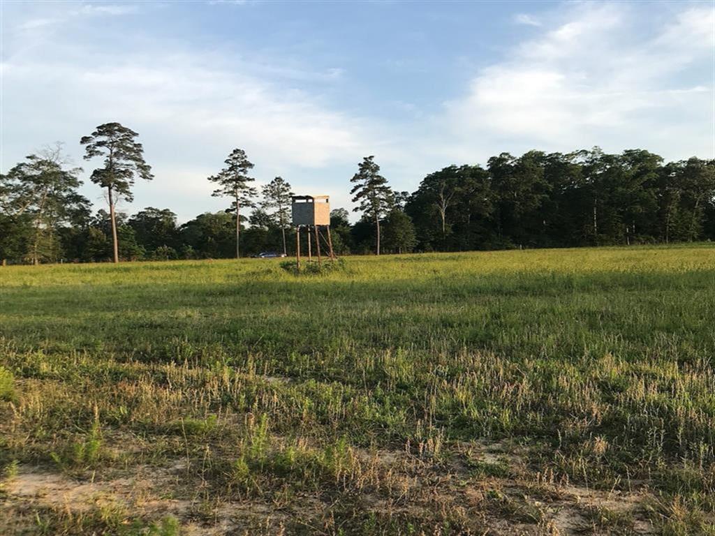 0.00 County Road 2167 A, Cleveland, Texas image 3