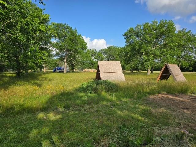 4503 Allison Richey Road, Rosharon, Texas image 1