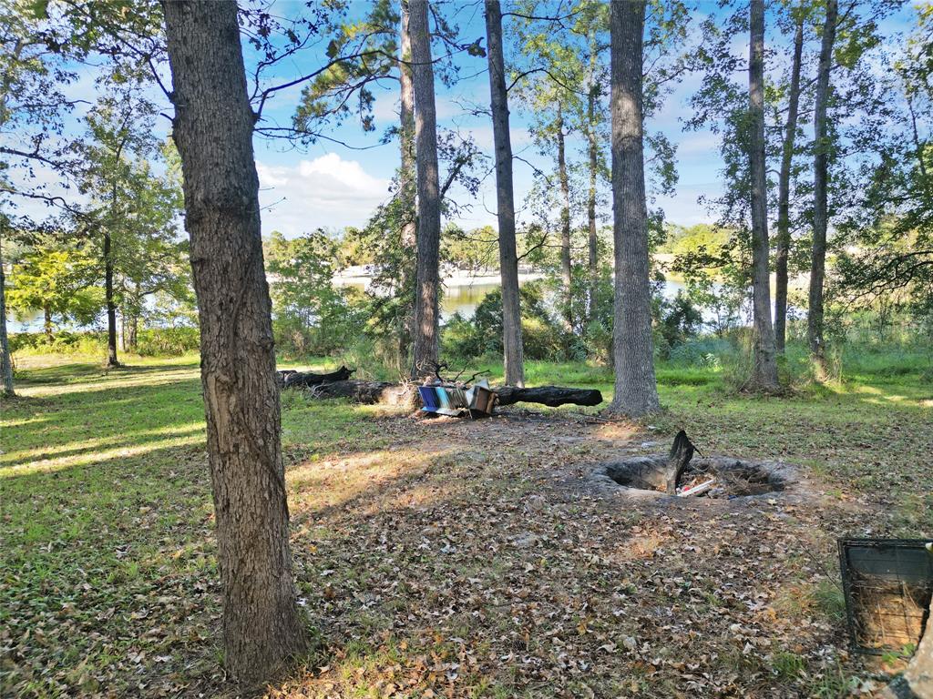 173 Horseshoe Lake Drive, Huntsville, Texas image 20