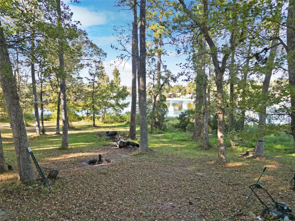 173 Horseshoe Lake Drive, Huntsville, Texas image 21