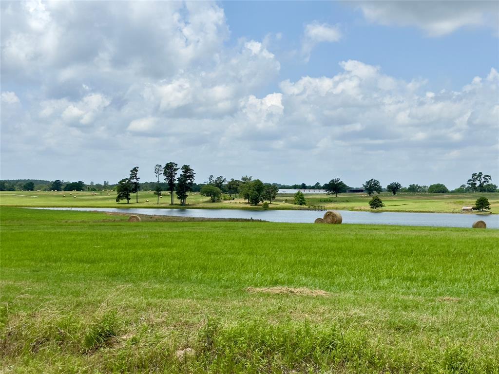 315 Clearlake Ln, Crockett, Texas image 4