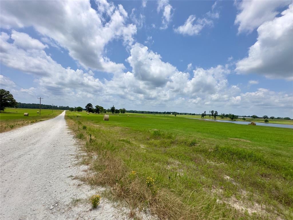 315 Clearlake Ln, Crockett, Texas image 3