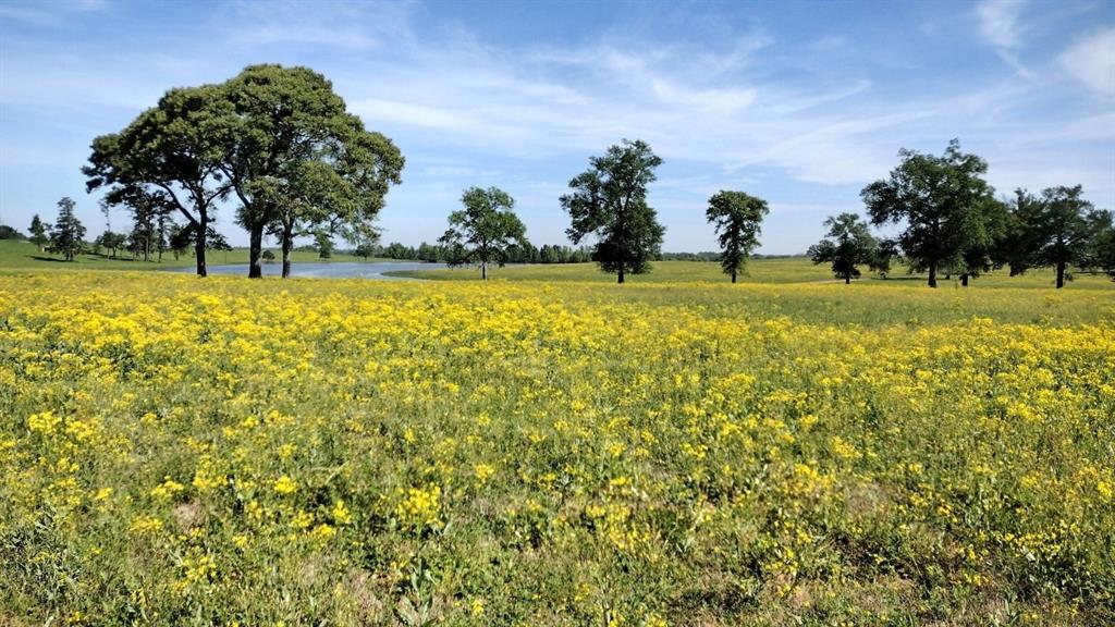 315 Clearlake Ln, Crockett, Texas image 2