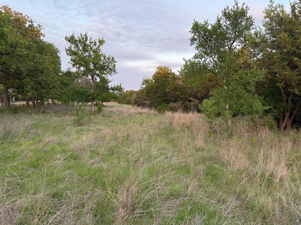 TBD Lot 1 Indian Lake Road, Florence, Texas image 4