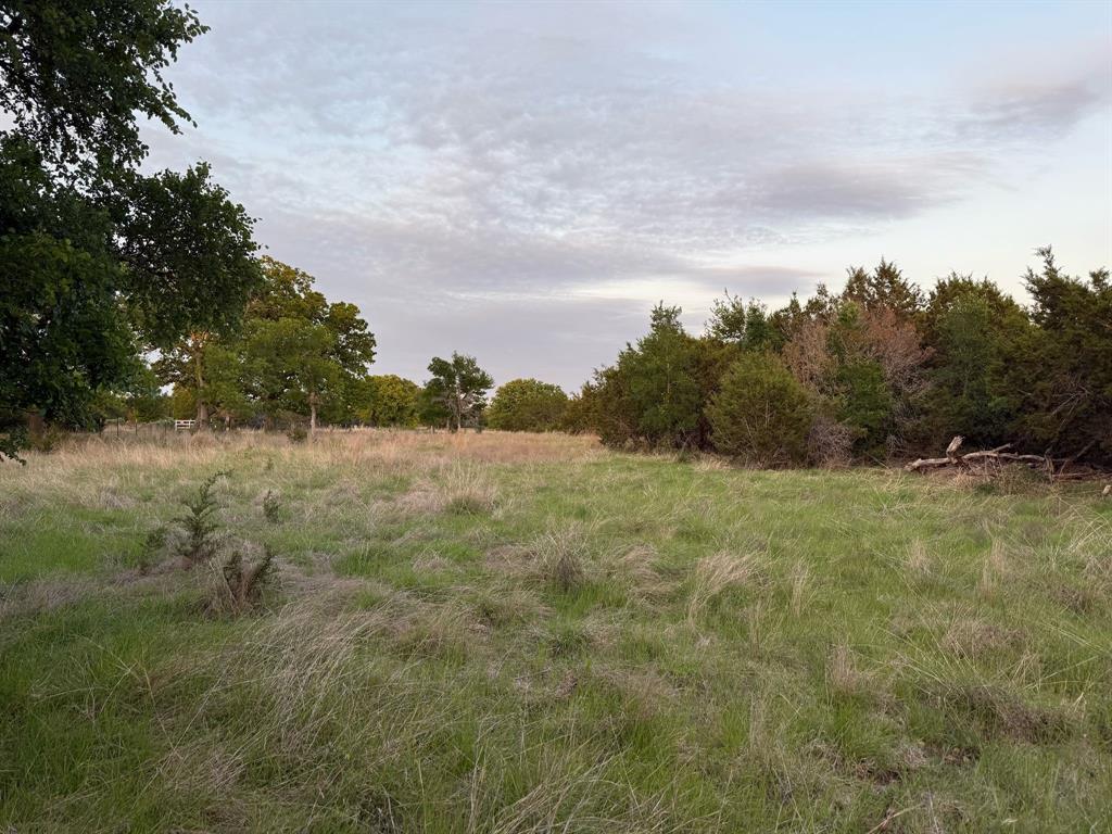 TBD Lot 1 Indian Lake Road, Florence, Texas image 6