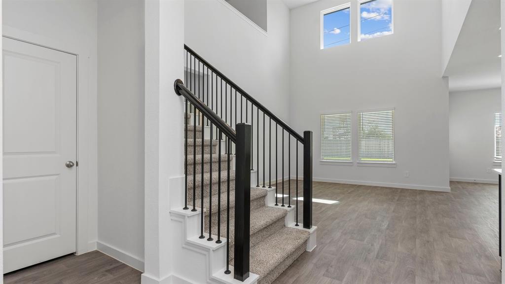 30506 White Cliff Court, Fulshear, Texas image 4