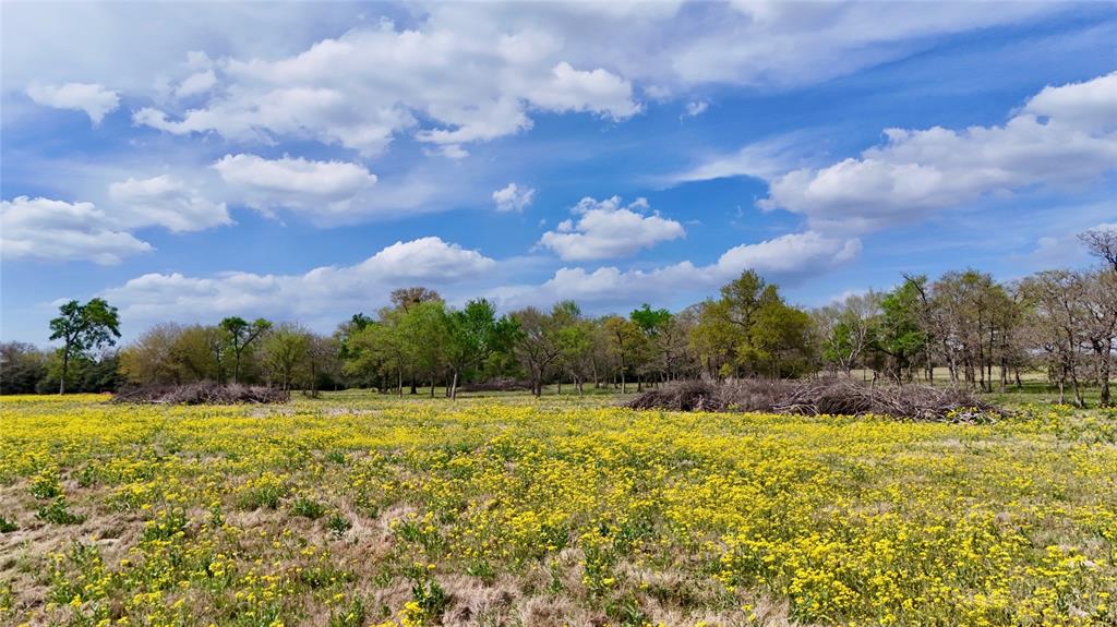 TBD Fm 2749, Thornton, Texas image 6