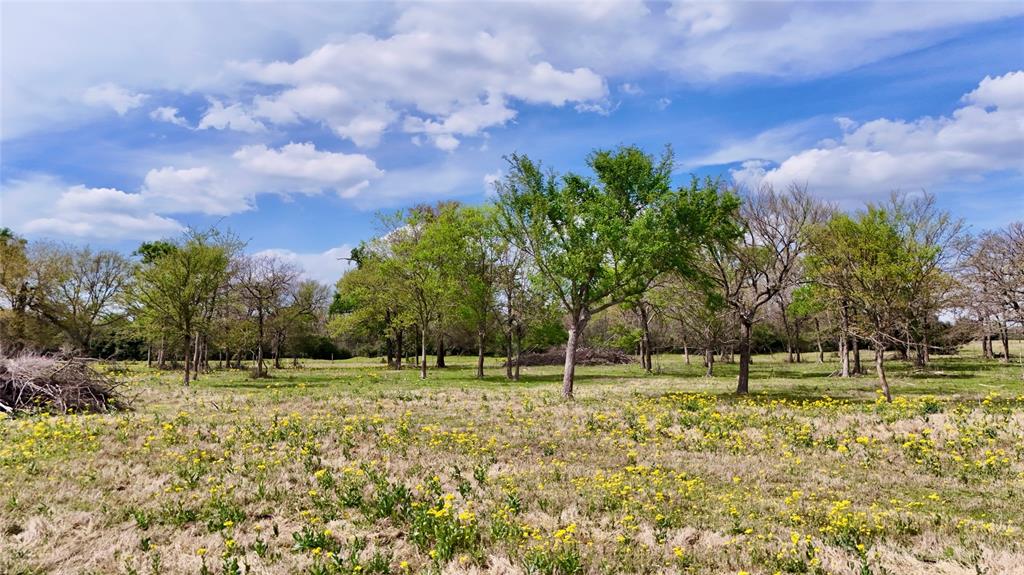TBD Fm 2749, Thornton, Texas image 7