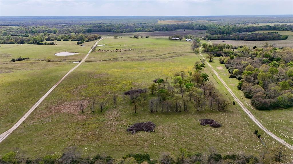 TBD Fm 2749, Thornton, Texas image 4