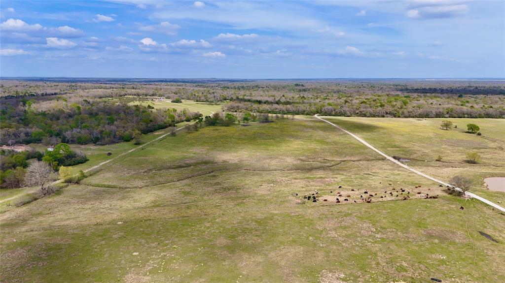 TBD Fm 2749, Thornton, Texas image 1