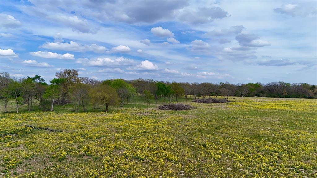 TBD Fm 2749, Thornton, Texas image 2