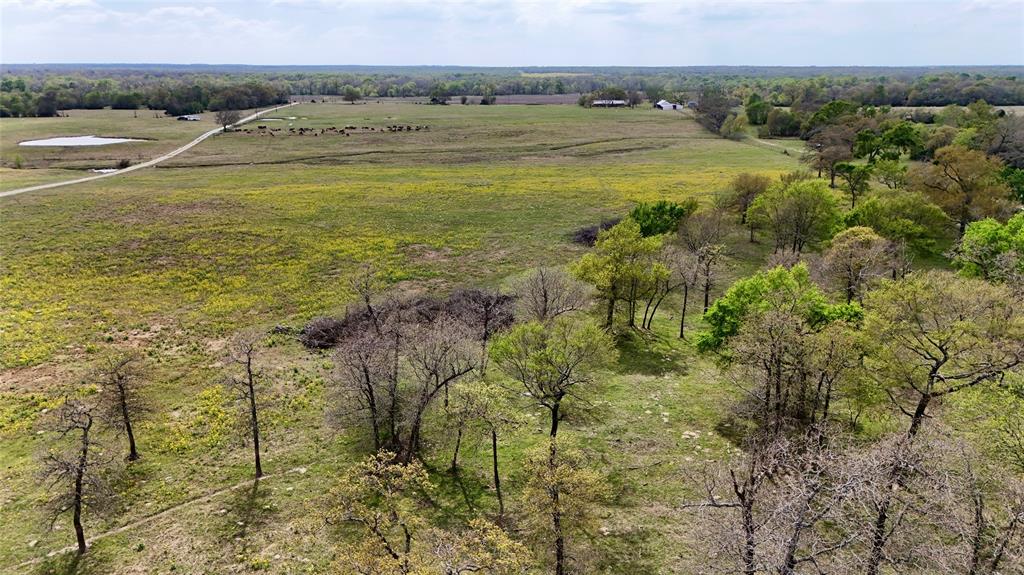 TBD Fm 2749, Thornton, Texas image 5
