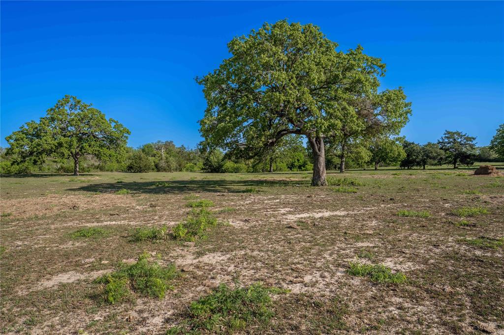 7122 Taplin Lane, Burton, Texas image 5